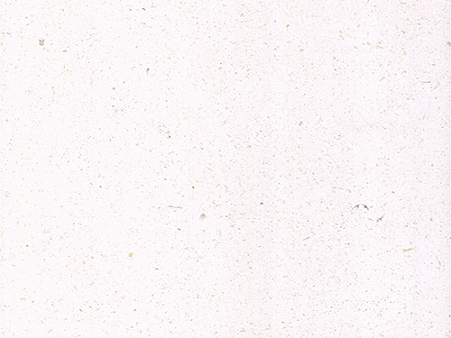 Moca Cream Limestone Texture