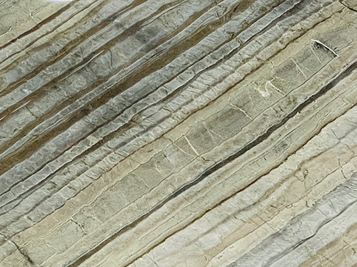 Sensa White Macaubus Wall Cladding