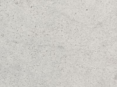 White shell Stone