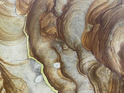 Palomino Slabs