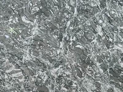 Verde Antigua Quartzite